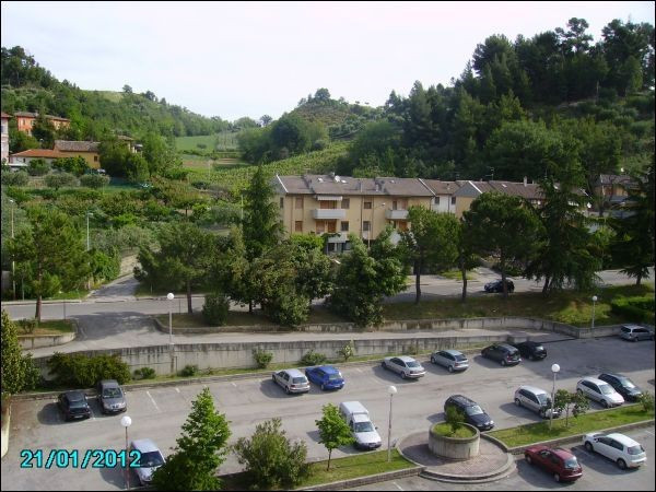 Appartamento ASCOLI PICENO vendita   dei Narcisi Immobiliare Centro Servizi Ascoli