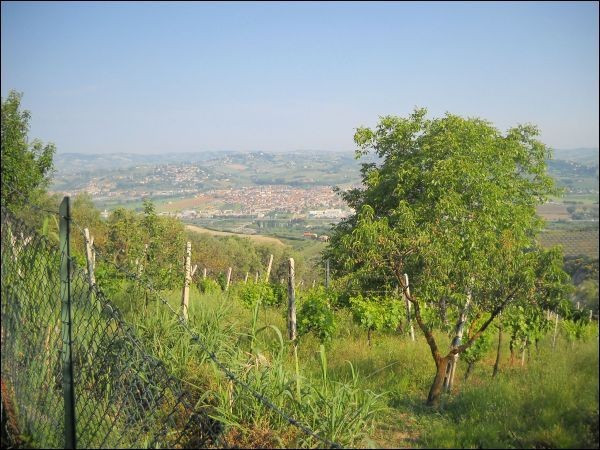 Rustico - Cascina CONTROGUERRA vendita   Provinciale 2 Immobiliare Centro Servizi Ascoli