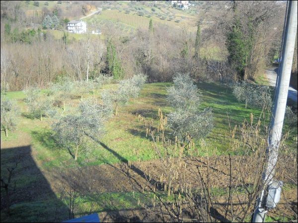 Rustico - Cascina FOLIGNANO vendita  Villa Pigna Castello Immobiliare Centro Servizi Ascoli