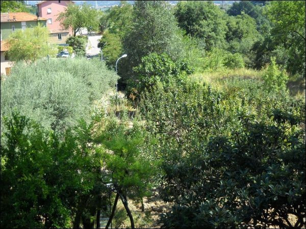 Villa ASCOLI PICENO vendita   Valle Venere Immobiliare Centro Servizi Ascoli