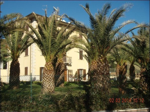 Villa ASCOLI PICENO vendita   Salaria Inferiore Immobiliare Centro Servizi Ascoli