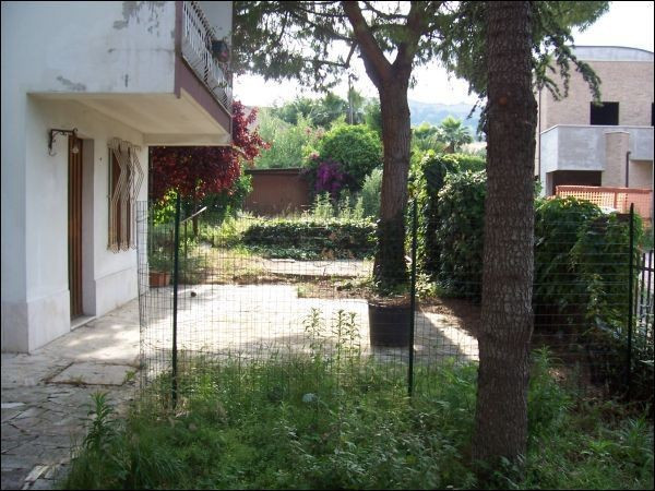 Villa SAN BENEDETTO DEL TRONTO vendita   S. Lucia Immobiliare Centro Servizi Ascoli