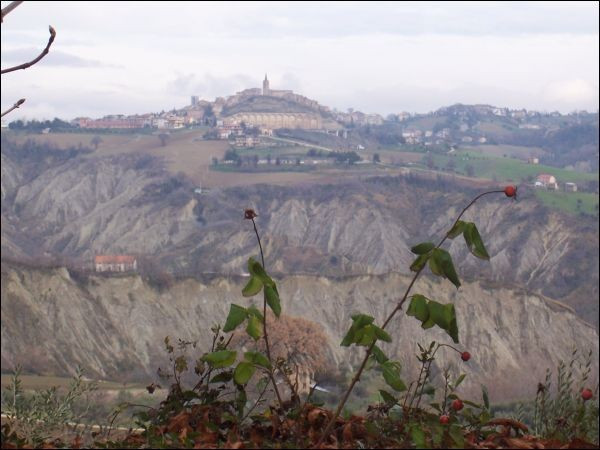 Appartamento CASTIGNANO vendita  Ripaberarda U. Tupini Immobiliare Centro Servizi Ascoli