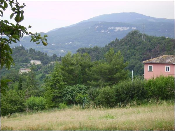 Rustico - Cascina ASCOLI PICENO vendita   Francesco Ciotti Immobiliare Centro Servizi Ascoli