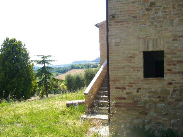 Rustico - Cascina MONTALTO DELLE MARCHE vendita    gambetti immobiliare