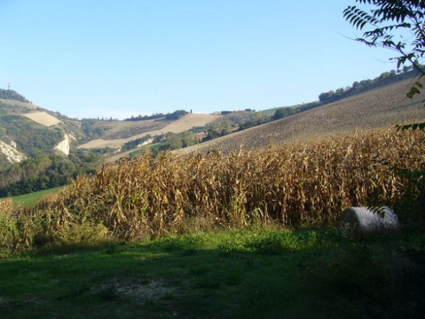 Rustico - Cascina RIPATRANSONE vendita   Giuseppe Garibaldi gambetti immobiliare