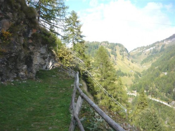 Villa Unifamiliare - Indipendente BACENO vendita  Alpe Devero Alpe Devero Rusticoinossola