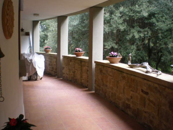 Appartamento CASTIGLIONE DELLA PESCAIA vendita   punta ala Immobiliare Magnanini srl -  Arezzo
