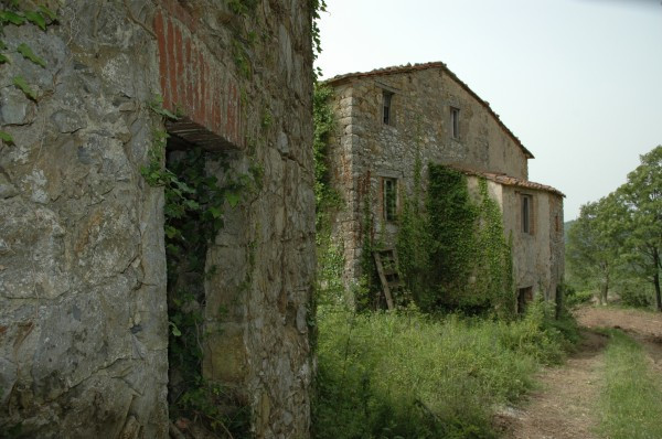 Rustico - Cascina MONTIERI vendita    Oreste Cirelli