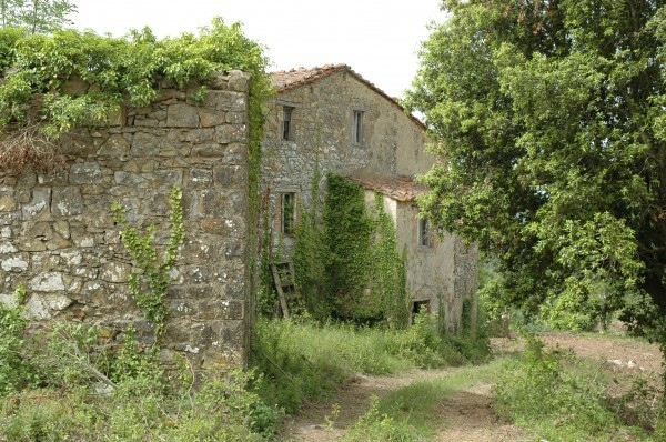 Rustico - Cascina MONTIERI vendita    Oreste Cirelli