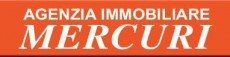 Logo Agenzia