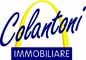 COLANTONI IMMOBILIARE