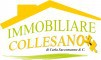 IMMOBILIARE COLLESANO S.A.S. DI CARLA SACCOMANNO &