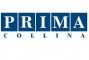 Logo Agenzia