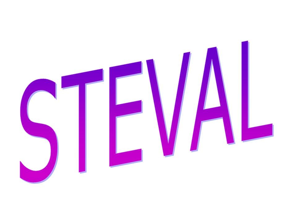 Immobiliare Steval