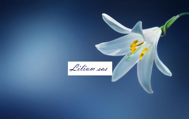 LILIUM SAS