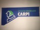 Carpi Immobiliare sas