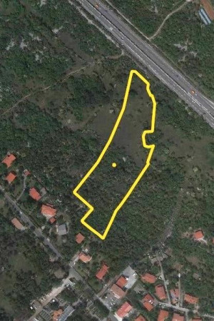 Planimetria AMPIO TERRENO / PASCOLO - SGONICO