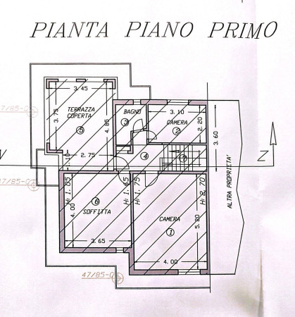 Foto principale