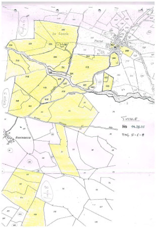 Rustico - Cascina LIZZANO IN BELVEDERE vendita   Polla CASATUA DEL GEOM.BRUNO LENZI