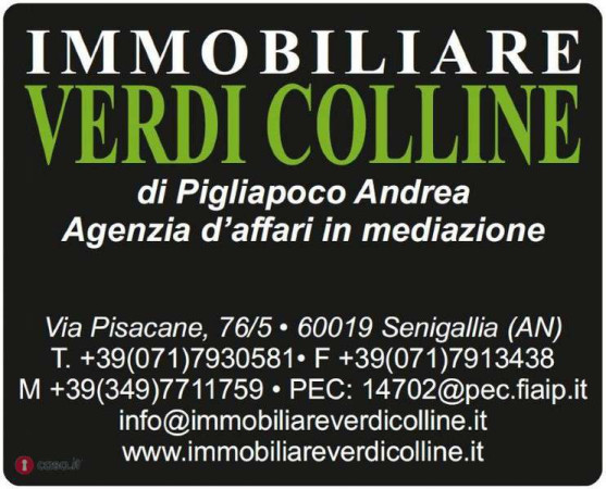 Appartamento SENIGALLIA vendita    Immobiliare Verdi Colline