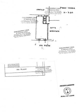 Negozio - Loc.Com. ANCONA vendita  ADRIATICO Piave Philosophy Casa