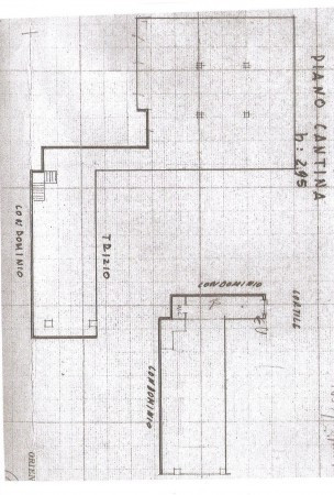 Negozio - Loc.Com. BARI affitto  MURAT Niccolò Piccinni Antonio Rotola