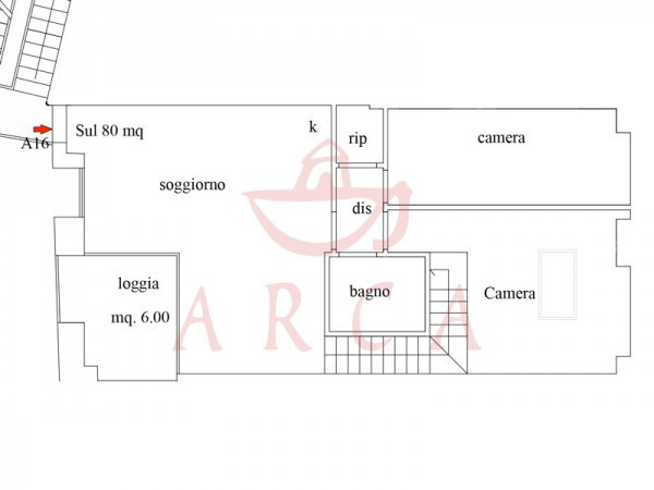 Appartamento FIRENZE vendita   delle Ruote ARCA IMMOBILIARE