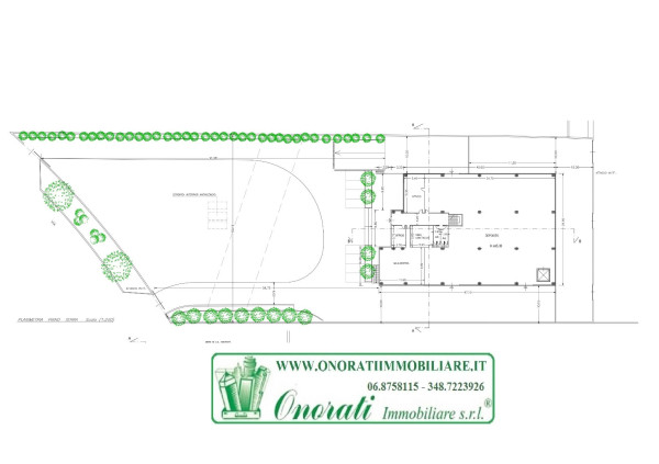 immagine annuncio 9 di 12