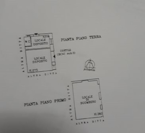 immagine annuncio 13 di 14